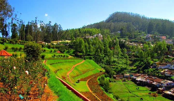 ooty-tour-package